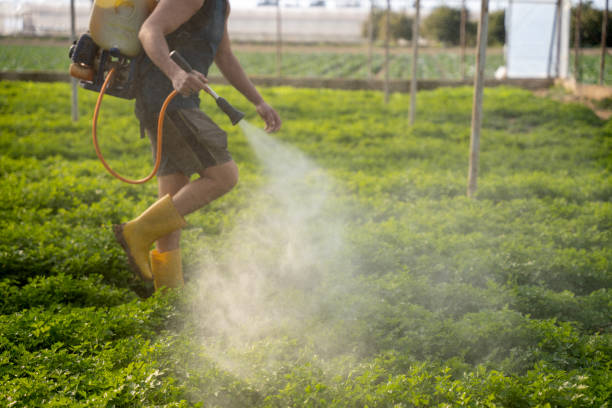Best Pest Inspection Near Me  in Indio, CA