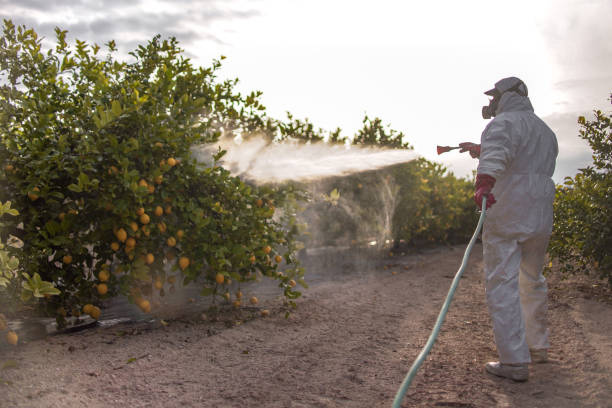 Best Commercial Pest Control Services  in Indio, CA