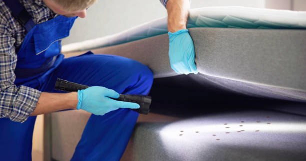 Best Local Pest Control Services  in Indio, CA