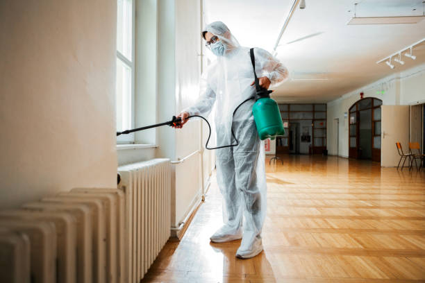 Best Pest Removal Services  in Indio, CA