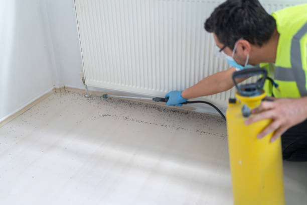Best Emergency Pest Control  in Indio, CA